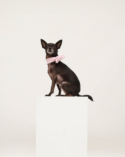 Pink Cotton Scarf