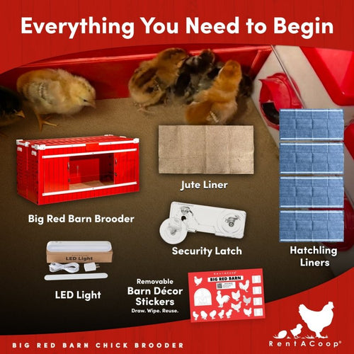 RentACoop Big Red Barn Chick Brooder