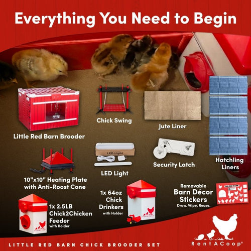 RentACoop Little Red Barn Chick Brooder Set