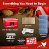 RentACoop Little Red Barn Chick Brooder
