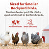 RentACoop 10lb Chick2Chicken 4-Port Chicken Feeder