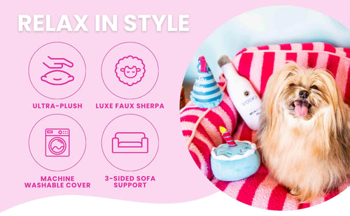 Luxury Light Blue Striped Sofa Dog Bed - Glow Pups