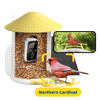 Birdfy Feeder - AI-Powered Smart Bird Feeder with Camera-Yellow