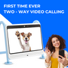 DOGSPLAY - SMART TV FOR DOGS