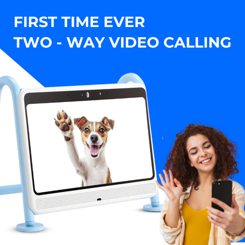 DOGSPLAY - SMART TV FOR DOGS
