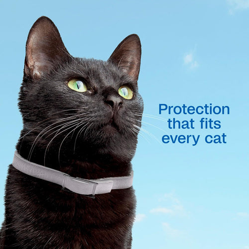 Adams Plus Flea & Tick Collar for Cats Water-Resistant Up to 7 Months Protection 2PCK