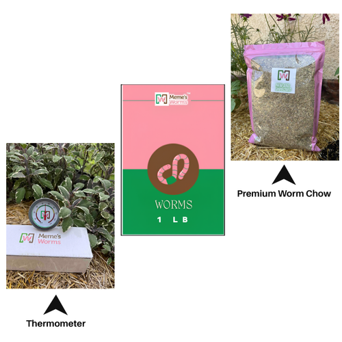 1 LB Worms + Worm Chow + Thermometer Combo