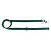 Evergreen Dream Leashes