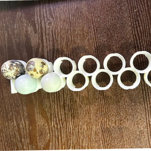 Jumbo Quail Egg Rails for Cimuka / Hatching Time CT60 – Full Set (12 Rails)