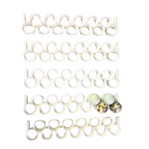 Jumbo Quail Egg Rails for Cimuka / Hatching Time CT120 – Full Set (24 Rails)