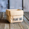 Cement Brown Paper Box Flowerpot Creative Planting Indoor Balcony