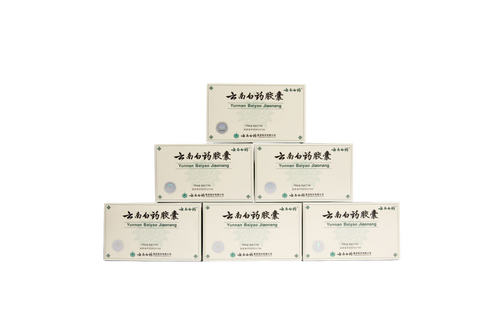 Yunnan Baiyao Capsules for Pets