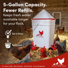 RentACoop 5 Gallon/ 6 Automatic-Fill Water Cup or Nipple Chicken Waterer with Adjustable Stand - Center Placement
