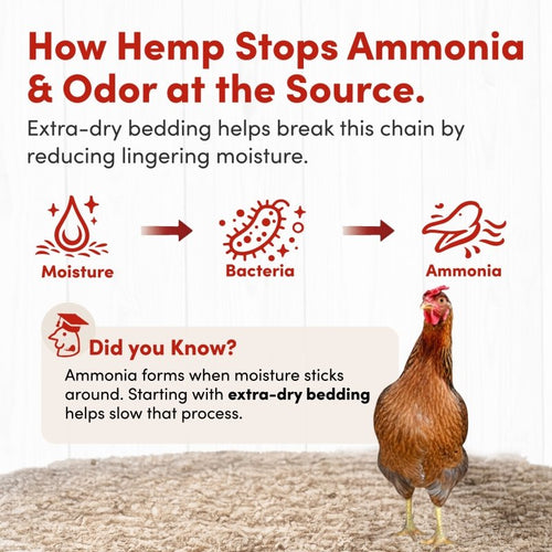 RentACoop Premium Hemp Bedding for Chickens, Rabbits, Horses - 300L (30lbs)