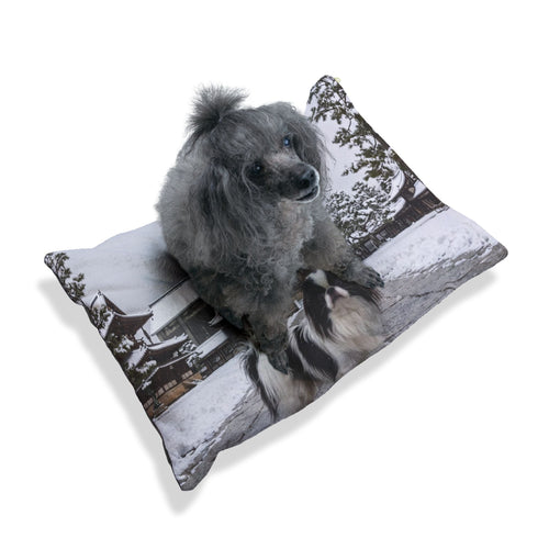 Japanese Chin Pet Bed