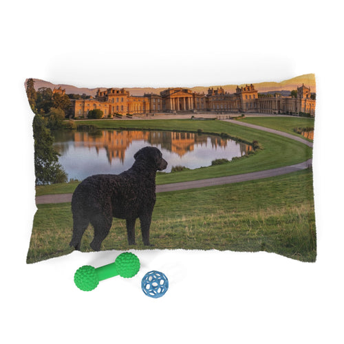 Curly Coated Retriever Pet Bed