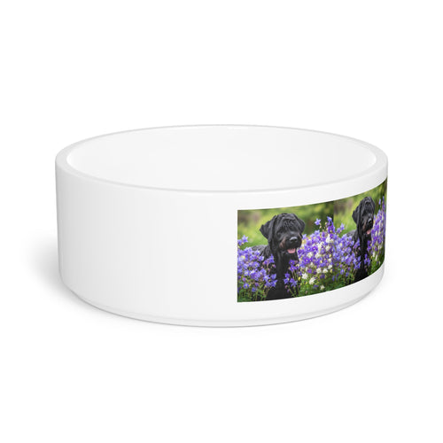 Ceramic Pet Bowl – 16 oz Dog Feeding Bowl