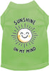 Adorable Cat or Dog Shirt for Pets Sunshine on My Mind