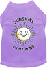 Adorable Cat or Dog Shirt for Pets Sunshine on My Mind
