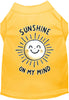 Adorable Cat or Dog Shirt for Pets Sunshine on My Mind