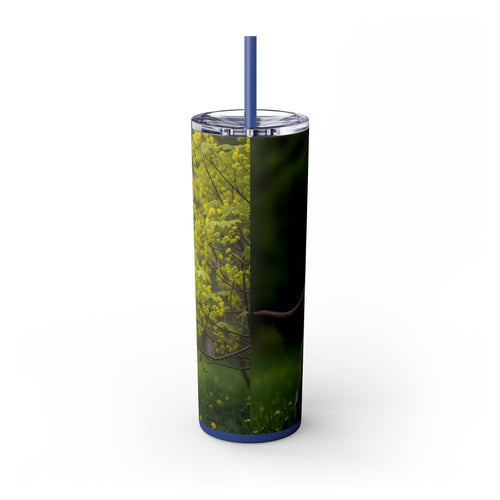 Skinny Tumbler with Straw – 20 oz Stainless Steel Cup
