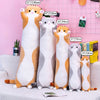 Plush Long Cat Body Pillow