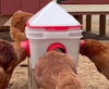 10lb Chick2Chicken BPA-Free 4-Port Chicken Feeder - 2025 Version