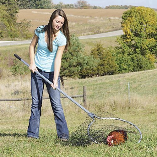 Premier EZ Catch Net for Chicken Handling (37- 57 Handle with 23 Net Opening & Teardrop Mesh)