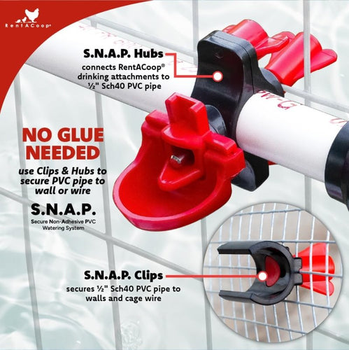 RentACoop Secure Non-Adhesive PVC (S.N.A.P) Watering System Starter Kit