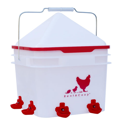 RentACoop 2 Gallon BPA-Free Plastic Bucket Chicken Waterer Set with 4 Horizontal Nipples - Corner Placement 2025 Version