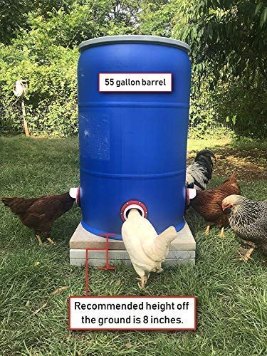 RentACoop DIY Chicken Feeder 6 + Hole Saw