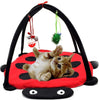 Black Ladybug Cat Play Mat