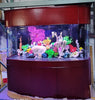 380 Gallon Seamless Glass Bowfront Reef-Ready Aquarium in Rose Cherry Real Wood Furniture