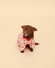 Red Hearts Cotton Raglan