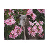 Sweatshirt Blanket – Plush Fleece Throw, 2 Size Options