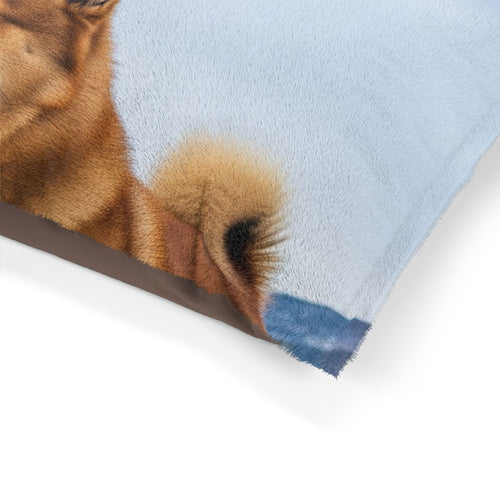 Norwegian Buhund Pet Bed