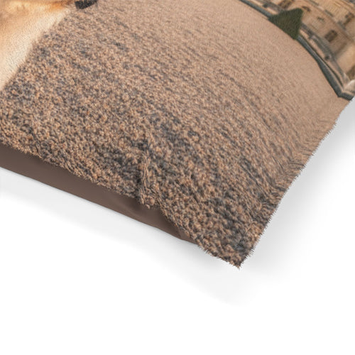 Löwchen Pet Bed