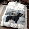 Black and Tan Coonhound Blanket
