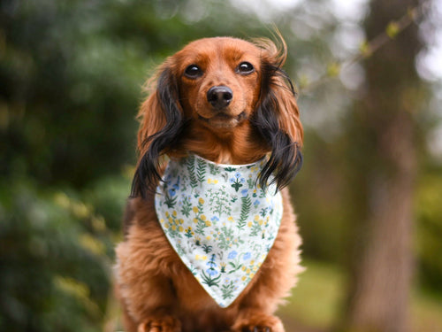 Merry and Bright Reversible Dog Bandana