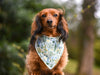Special Needs Bandanas (Private Listing)
