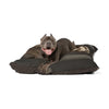 Cane Corso Pet Bed