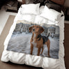 Drever Blanket