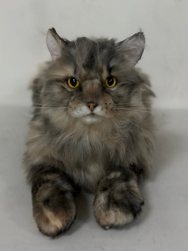 Plush American Tabby Cat Longhair Order to Make
