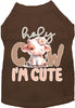 Adorable Cat or Dog Shirt for Pets Holy Cow, I'm Cute