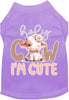 Adorable Cat or Dog Shirt for Pets Holy Cow, I'm Cute