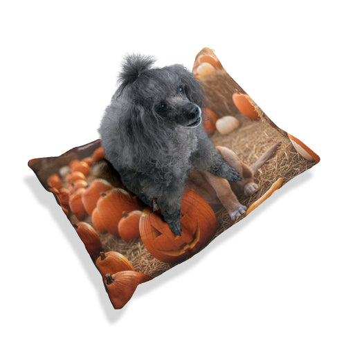 Autumn Pumpkin Patch Pet Bed