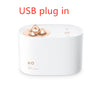 Wireless Mini USB charging sprayer