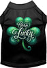 Adorable Cat or Dog Shirt for Pets A's Born Lucky