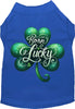 Adorable Cat or Dog Shirt for Pets A's Born Lucky