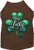 Adorable Cat or Dog Shirt for Pets A's Born Lucky
